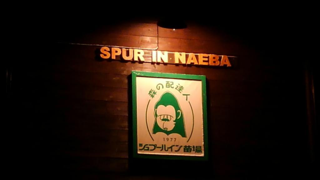 Вилла Spur In Naeba Кусацу Экстерьер фото